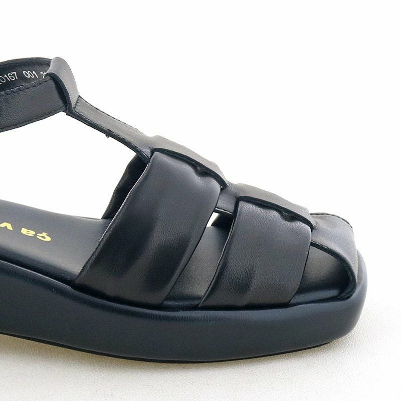 前底の厚さ：約2.5cm