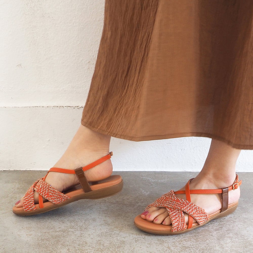 オレンジコンビ