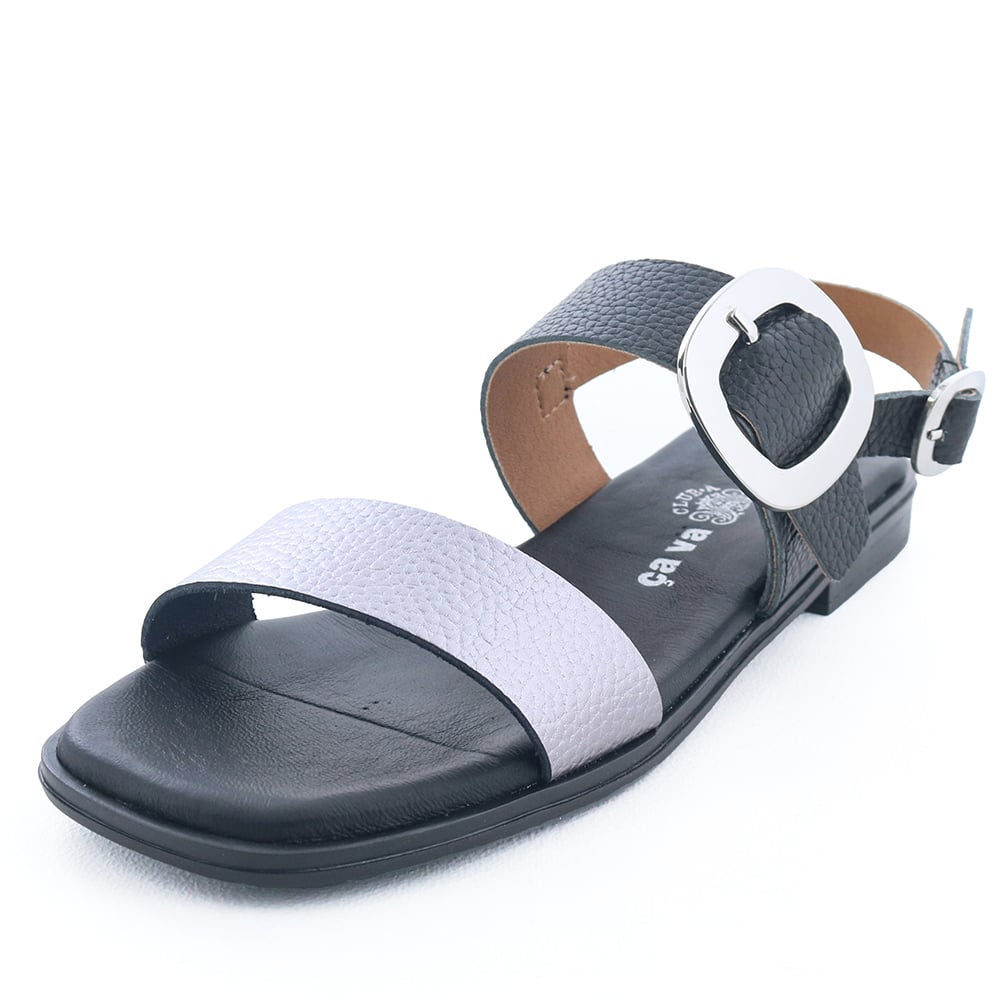 ブラックコンビ