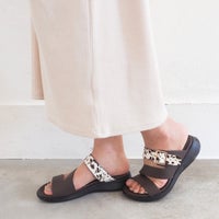 ダークブラウンコンビ